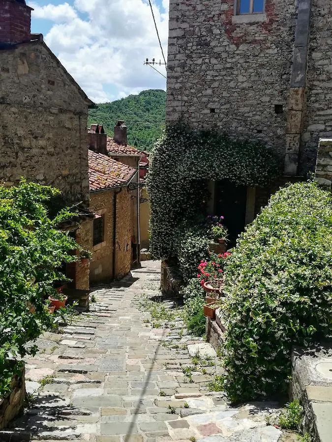 Casa Di Gaia Appartamento Sassetta